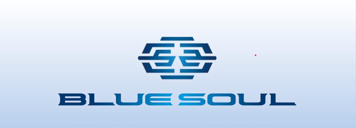 [Gamagori City, Aichi Prefecture] Blue Soul 2025